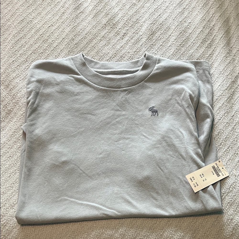 abercrombie kids Light Blue Short Sleeve Tee with Embroidered Moose